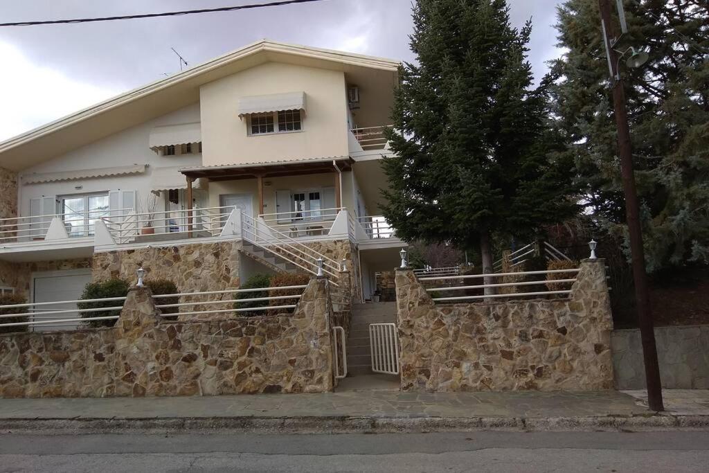 The Stone House Apartment Kozani Luaran gambar